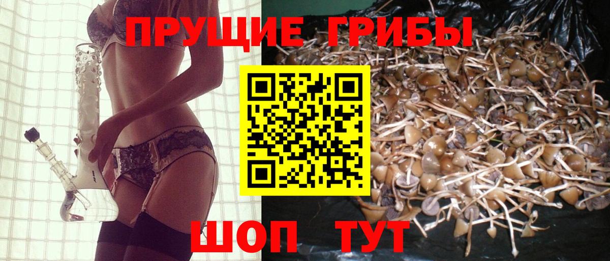 Заречный  Псилоцибиновые грибы ЛСД  Вход с VPN 